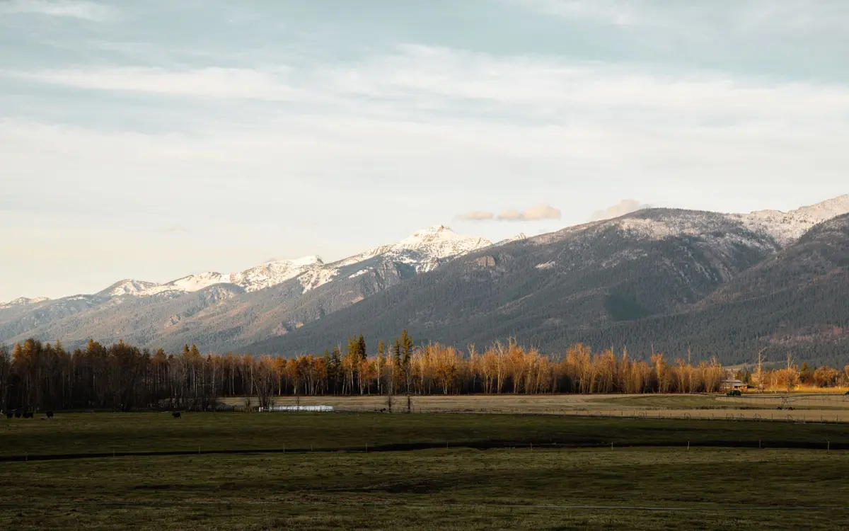 Autumn valley floor under snow-capped mountains