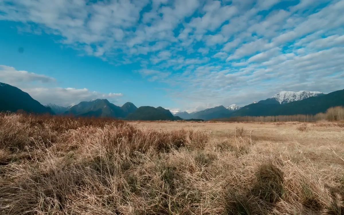 Fraser Valley grassland under the mountains