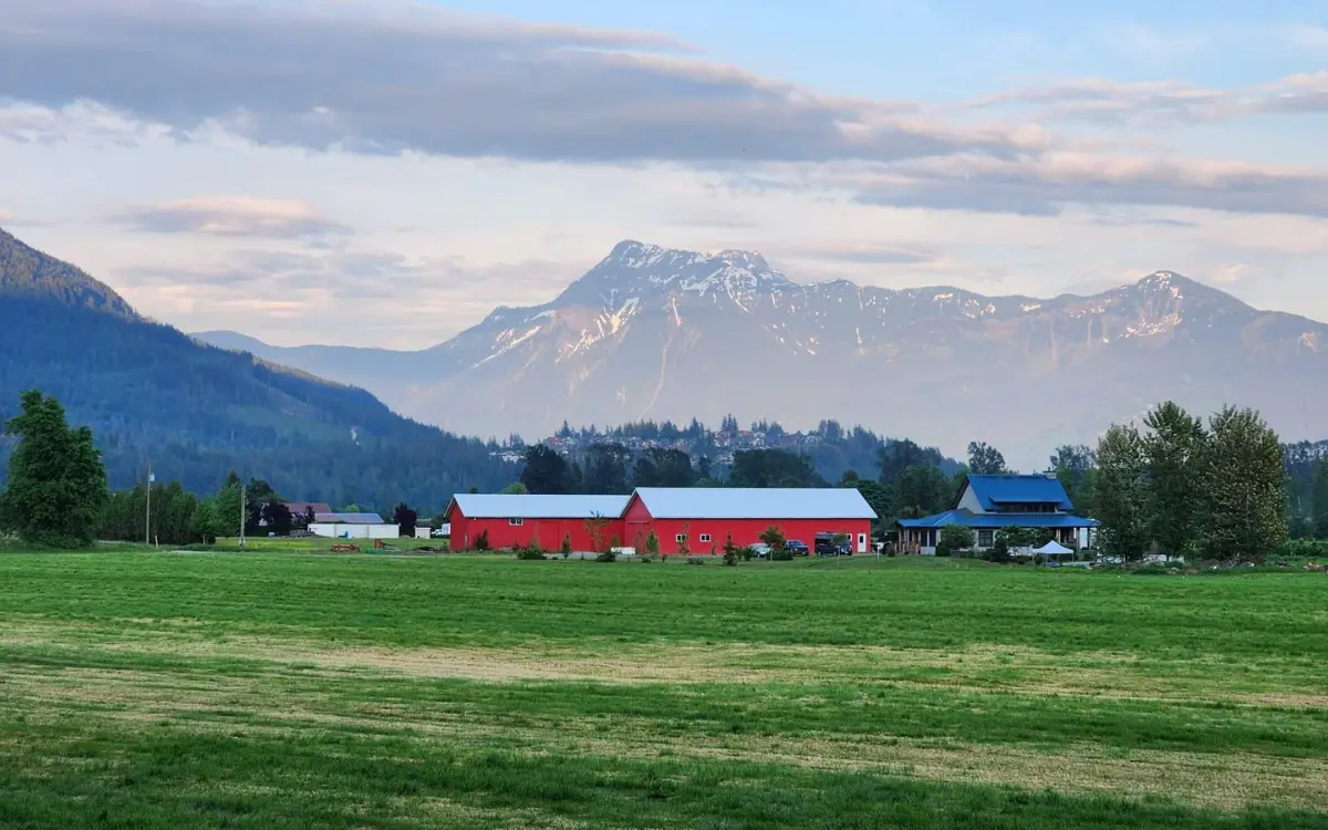 Red barns and pasture under the mountains, like the farms around Aldergrove
