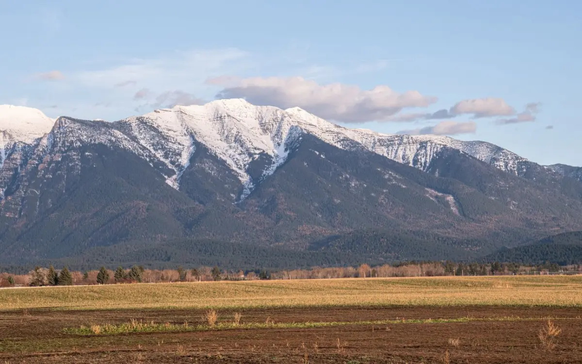 Snow-capped mountain over open fields near the base of Sumas Mountain
