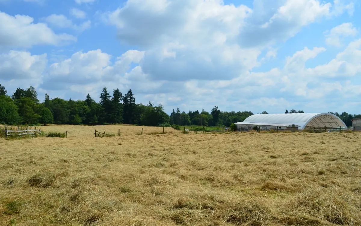 Open hay field and greenhouse in Langley farm country